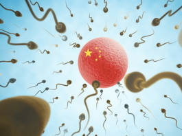 china-sperm-donation-rule