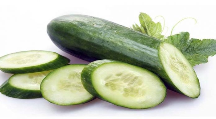 गर्मियों में सेहत के लिए किसी खजाने से कम नहीं है खीरा benefits of cucumber