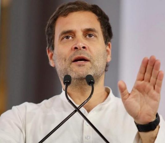 congress president rahul gandhi